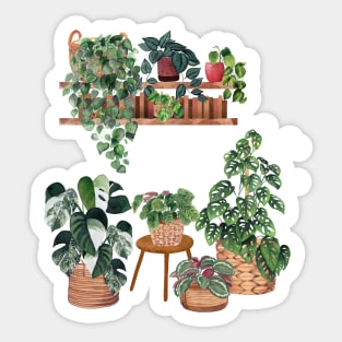 Plant Interior illustration 3 Sticker